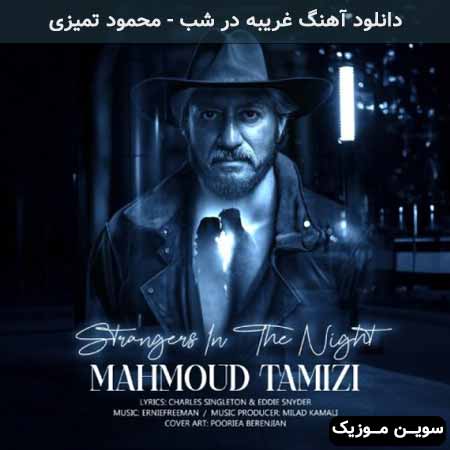 دانلود اهنگ غریبه در شب محمود تمیزی